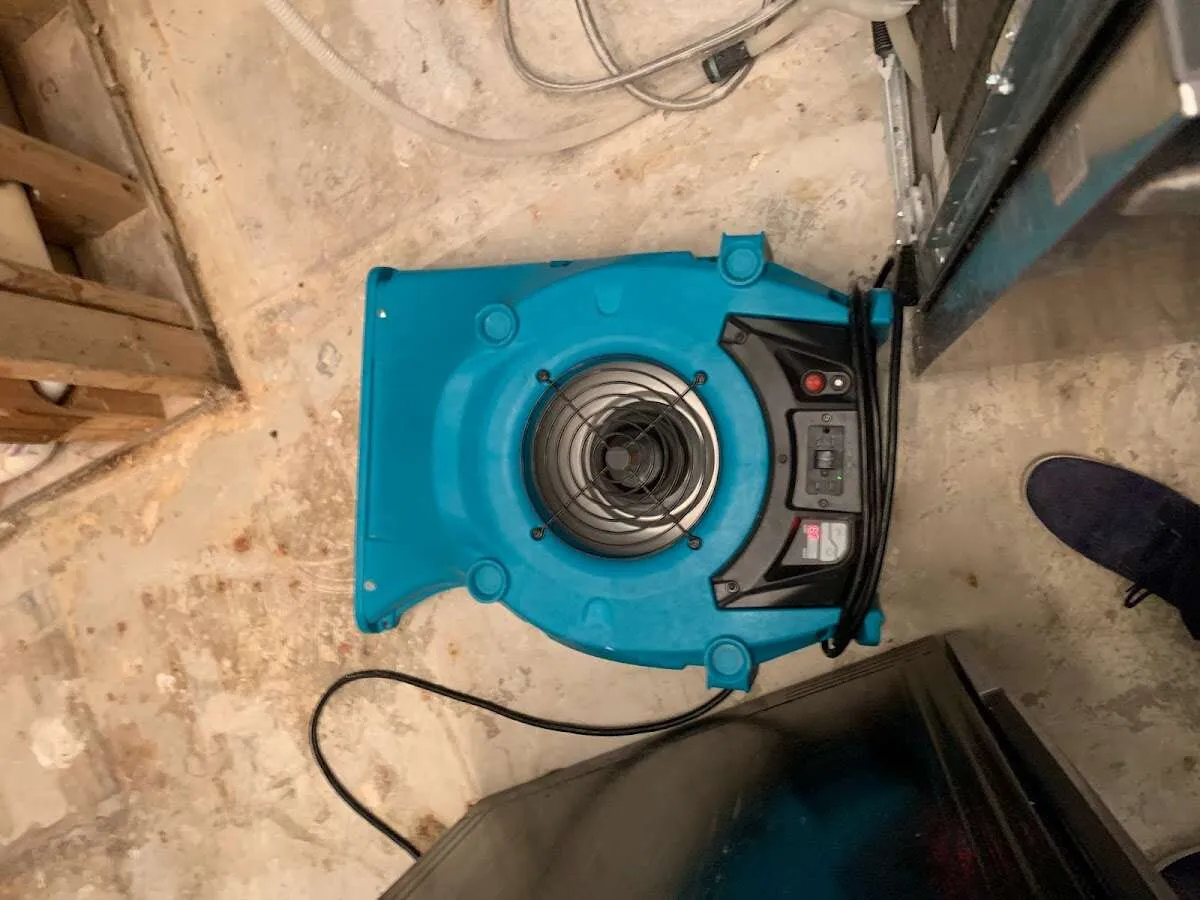 Air mover drying equipment for Mold Remediation & Removal in Hailey